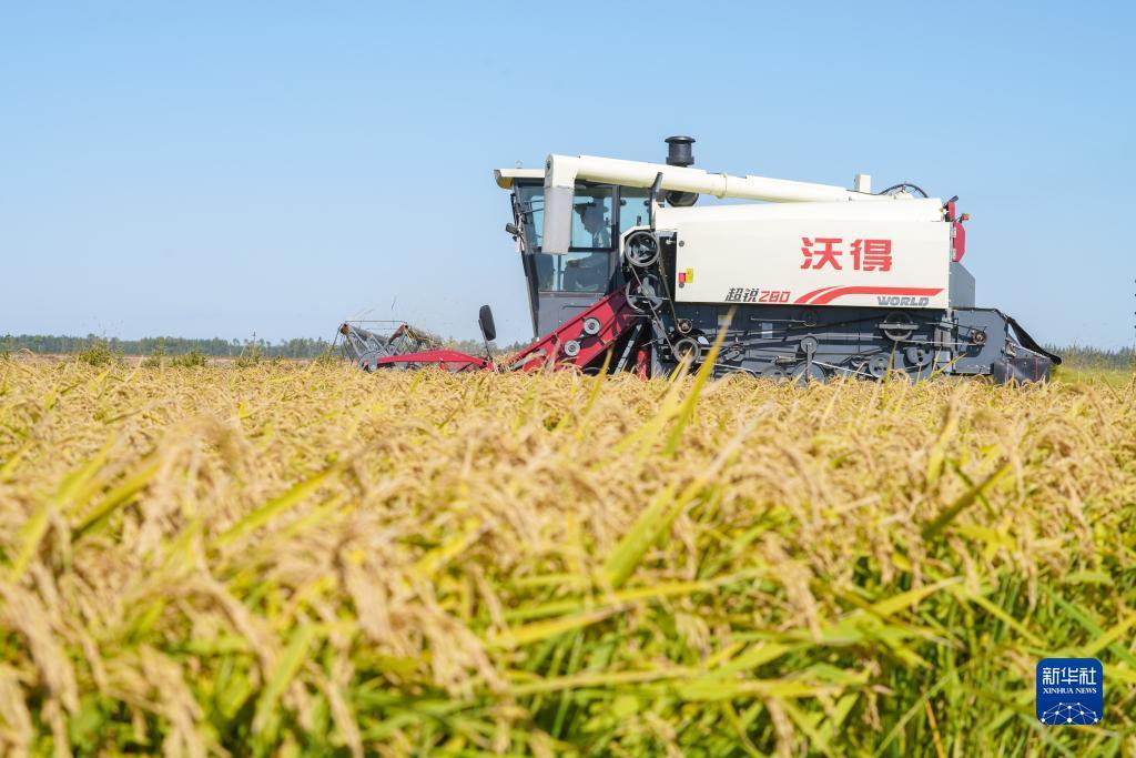 金沙银河湾房价